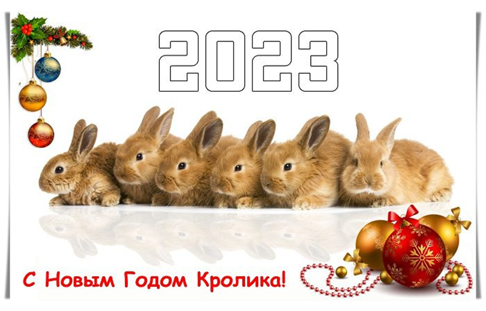 С новым годом кролика. С новым годом 2023. Новогодние открытки с кроликом 2023.