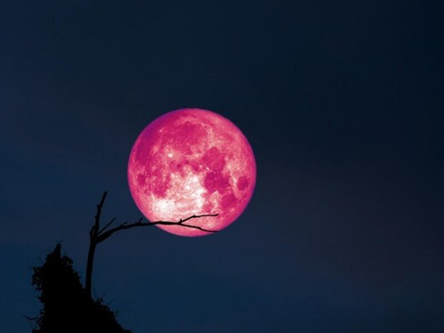 Есть розовая луна